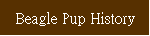 Beagle Pup History